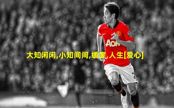大知闲闲,小知间间,缓度,人生[爱心]